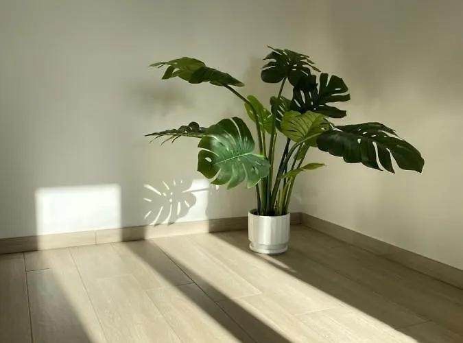 Casa Emalí Сasa de vacaciones